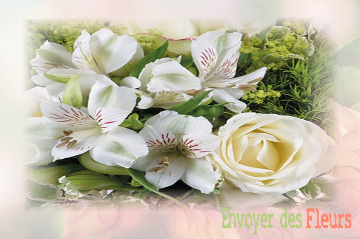 envoyer des fleurs à à VAISON-LA-ROMAINE